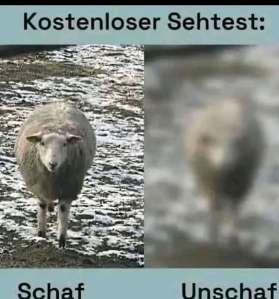 GIF hochgeladen von Svenja ☀️