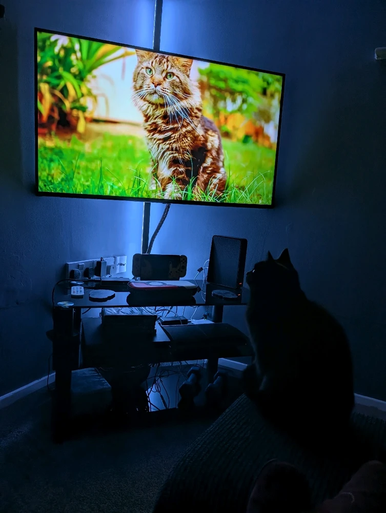 GIF diunggah dening Kitty