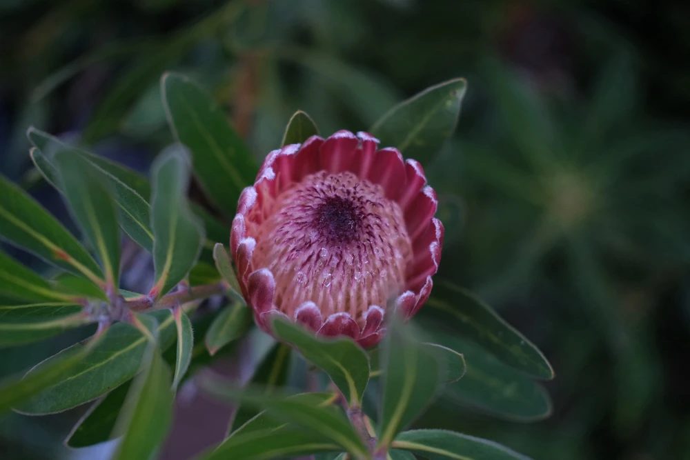 Image uploaded by Alo