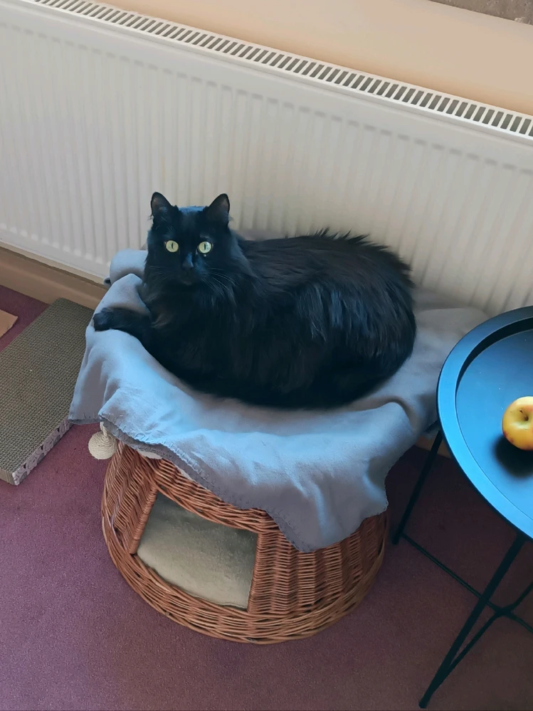 GIF загрузил Марк