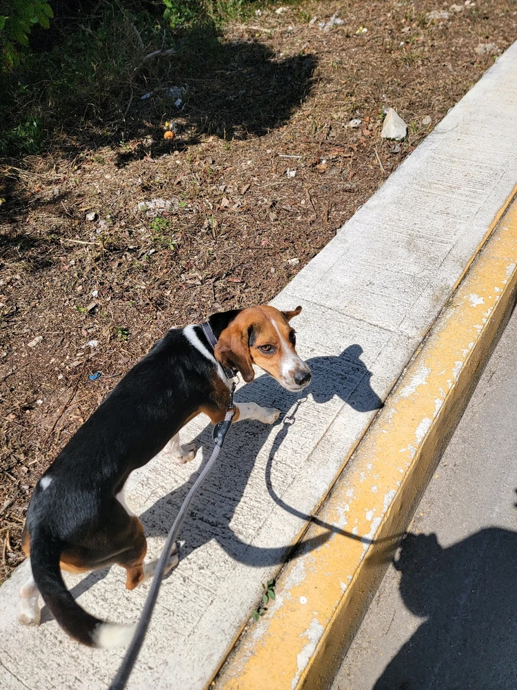 GIF subido por Sebastian