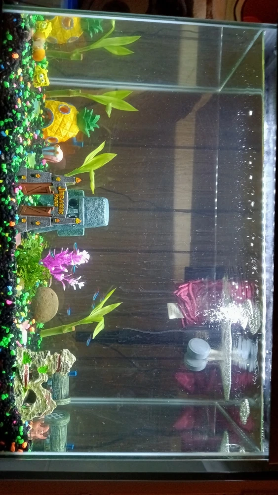 Image uploaded by Christina