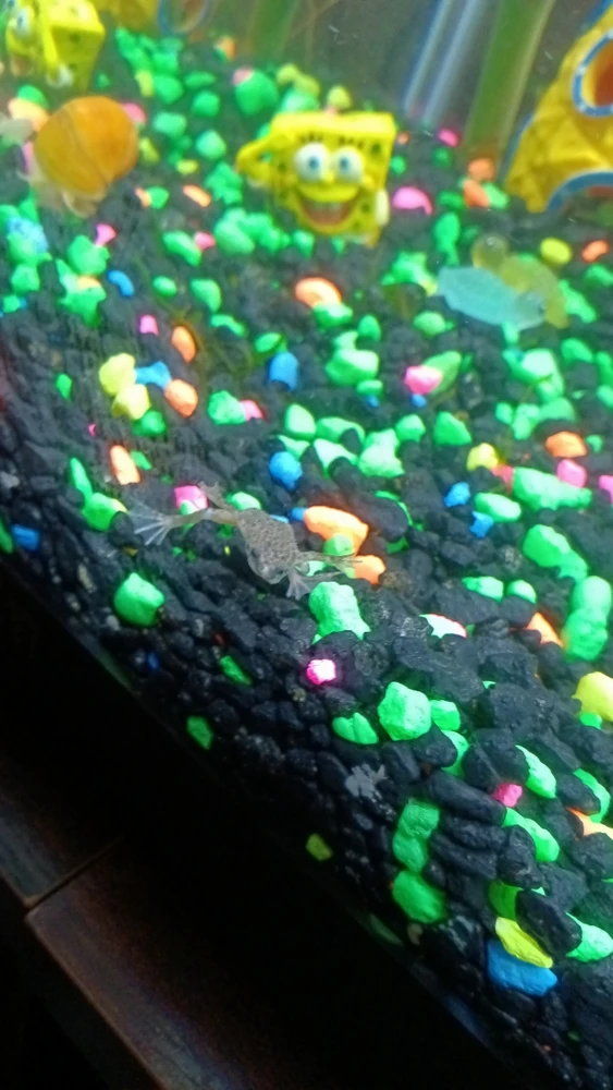 Image uploaded by Christina