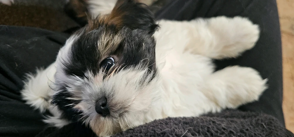 GIF uploaded by Ally