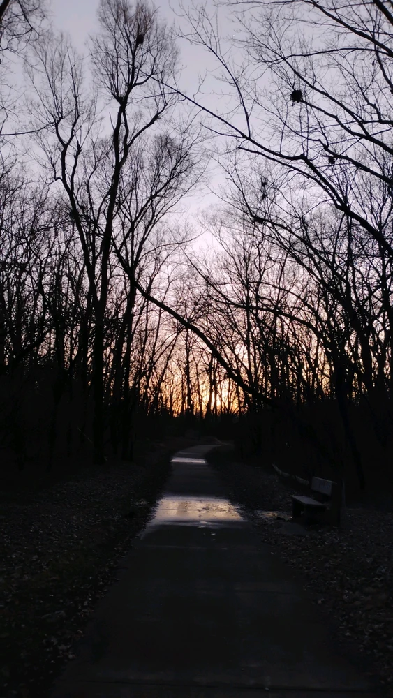 GIF diunggah dening Mickey