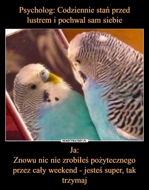 GIF uploaded by Kamil1987