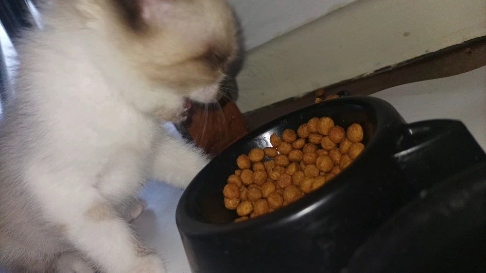 GIF enviado por João Victor