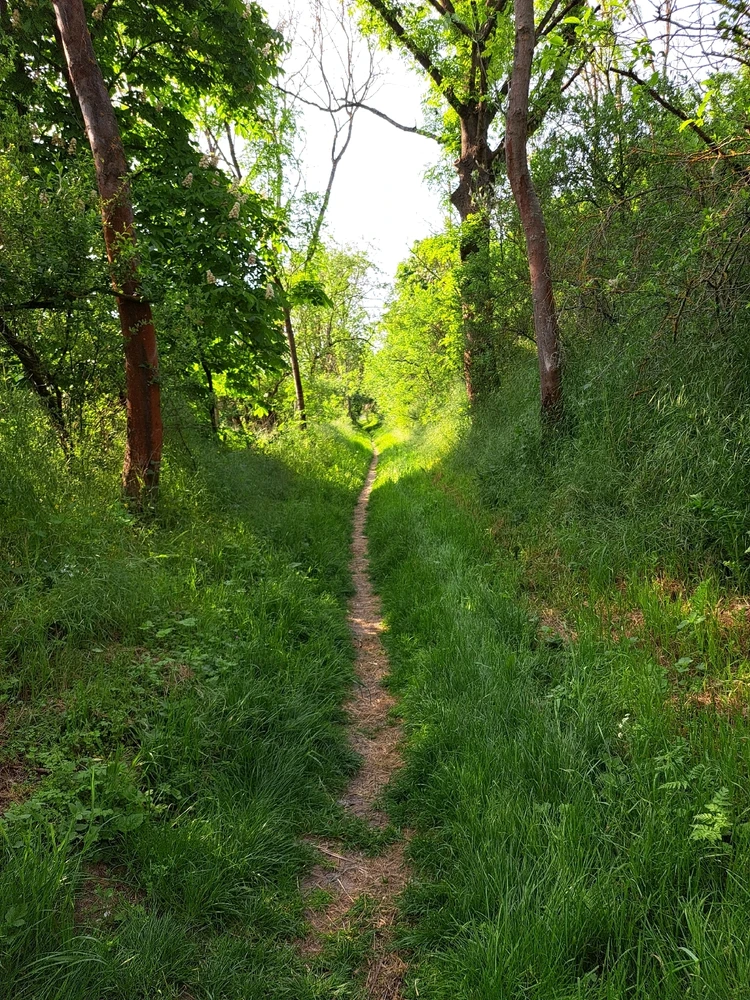Image uploaded by Olya