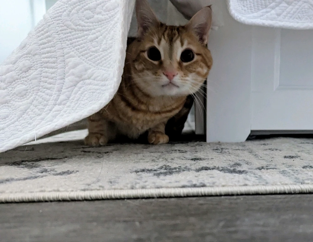 GIF uploaded by Melissa