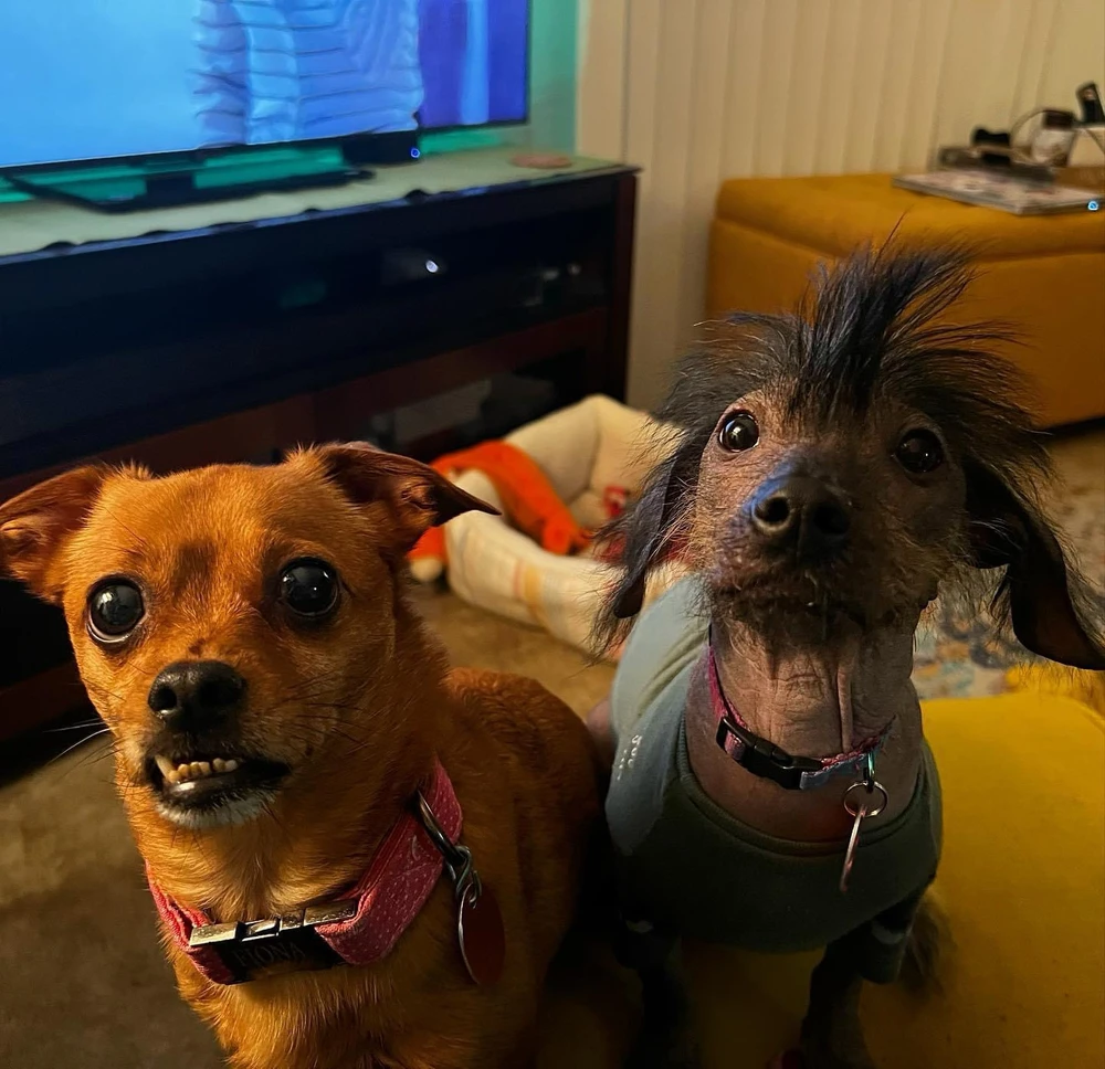 GIF uploaded by Nick