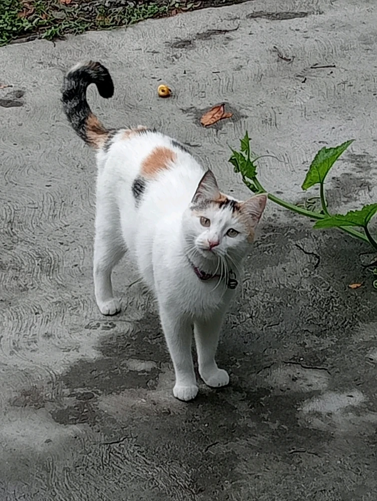 Imagen subida por Karime