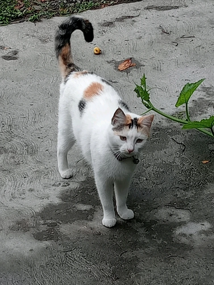 Imagen subida por Karime