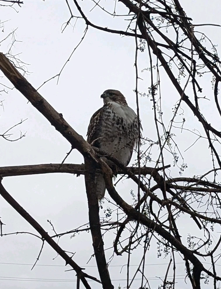 Image uploaded by Matt