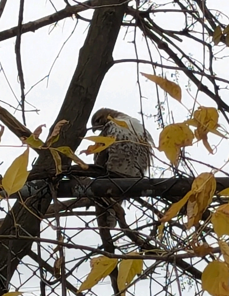 Image uploaded by Matt