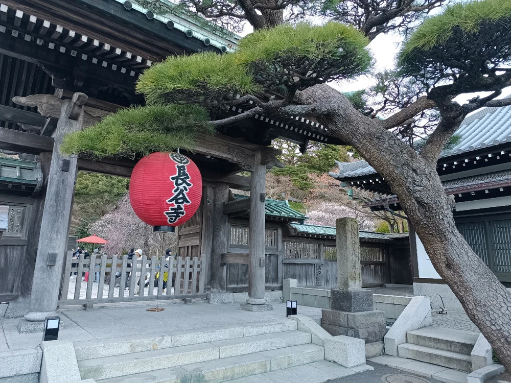Image uploaded by Carlos カルロス