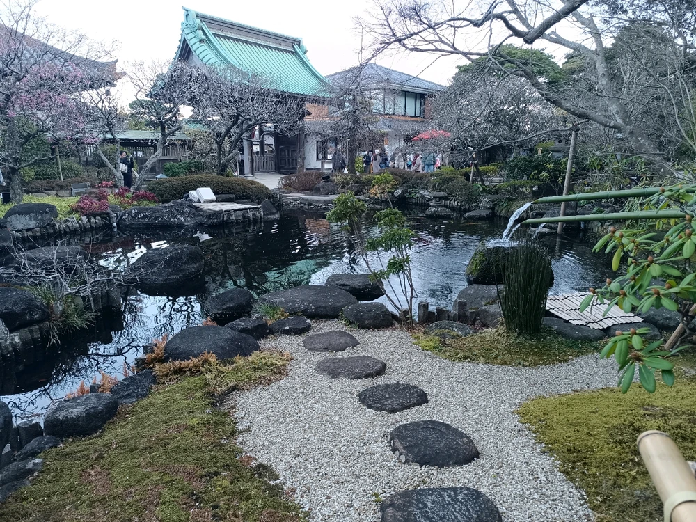 Image uploaded by Carlos カルロス