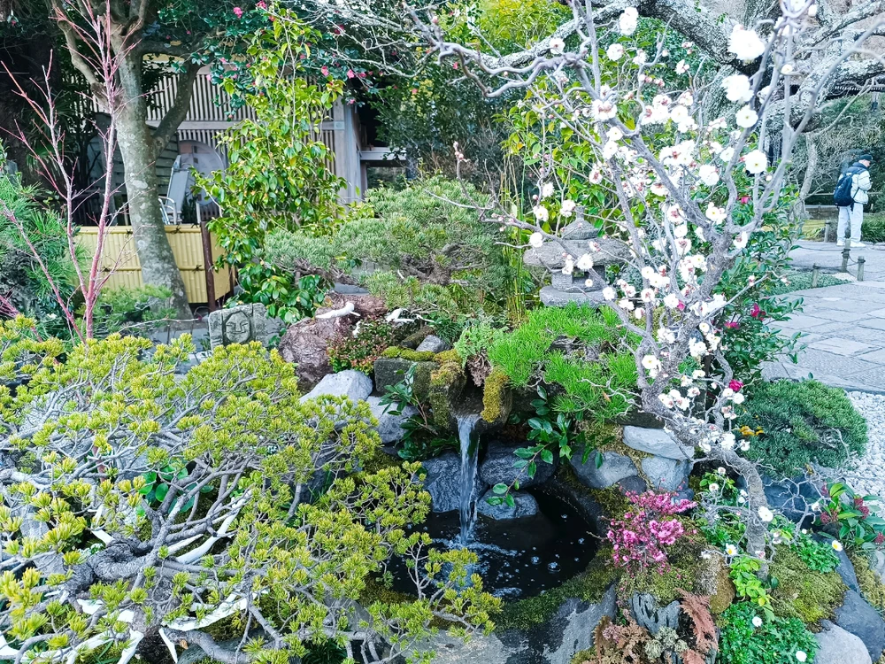 Image uploaded by Carlos カルロス