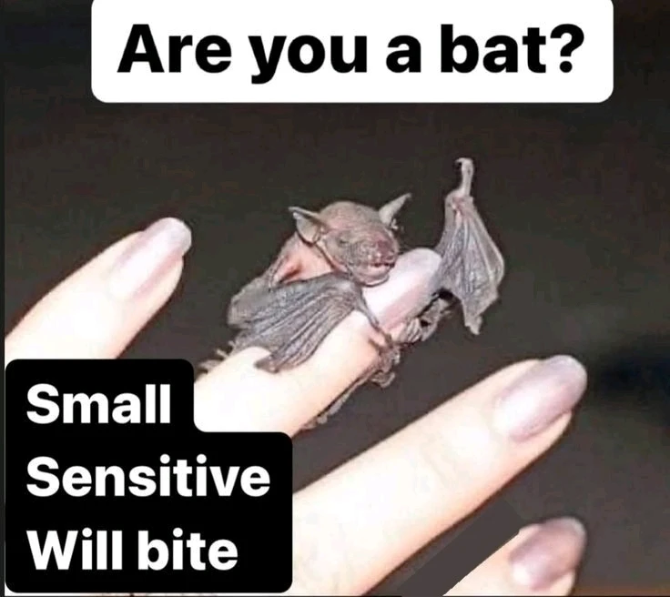 Зображення завантажив Natalia🦇