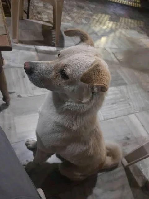 GIF uploaded by /~kír~\ 💙🌍💫⚕️🎓