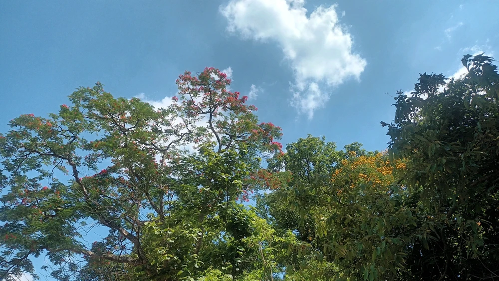 GIF uploaded by Ronak