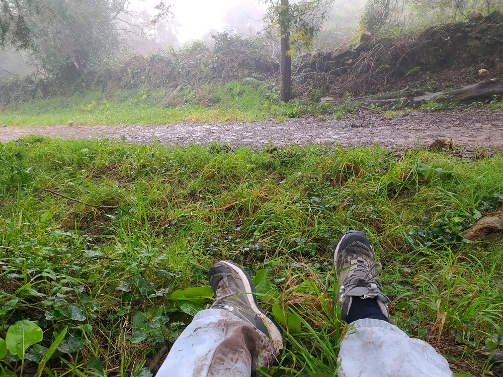 Image uploaded by Michael