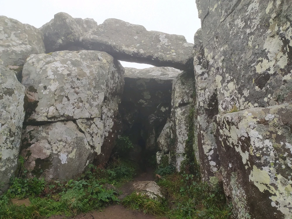 Image uploaded by Michael