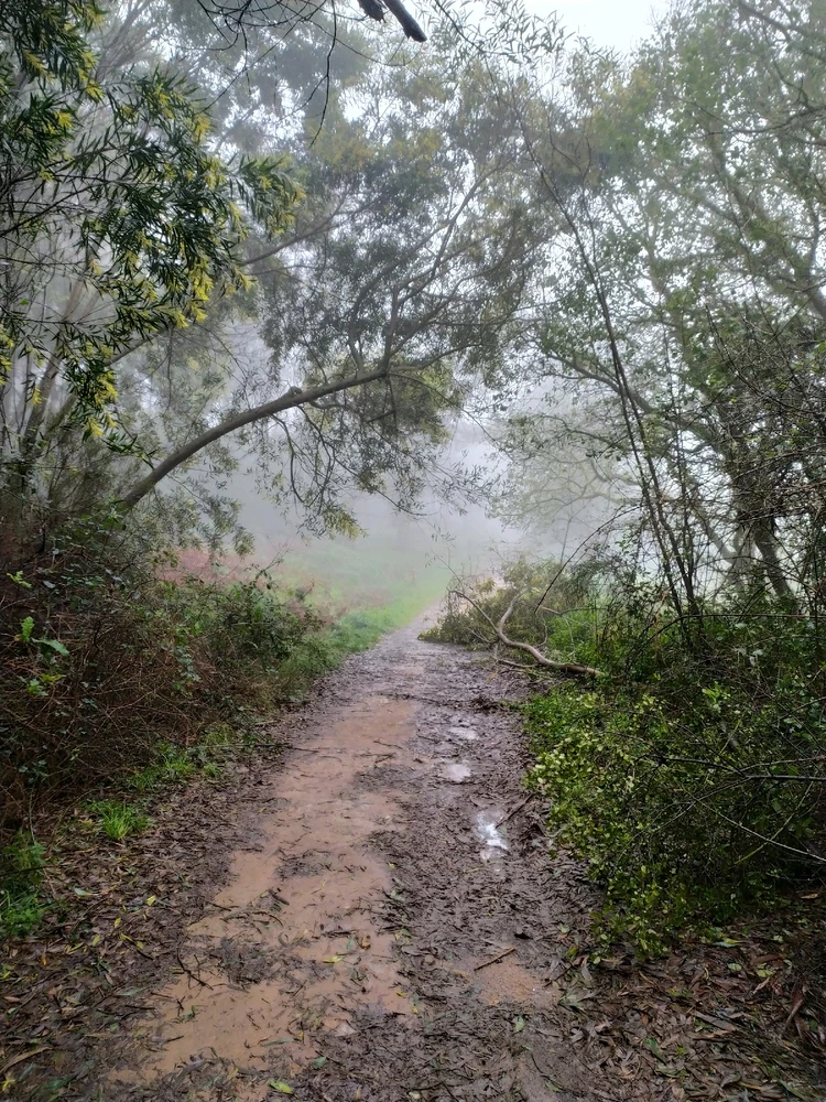 Image uploaded by Michael