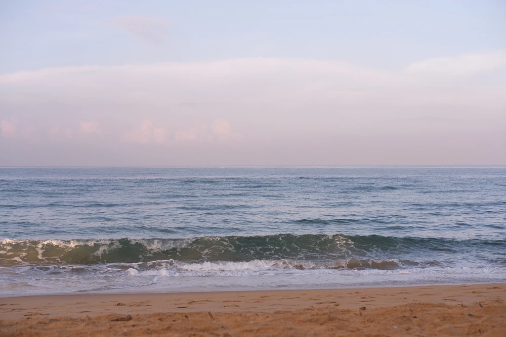 Image uploaded by Alo