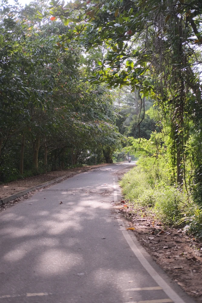 Image uploaded by Alo