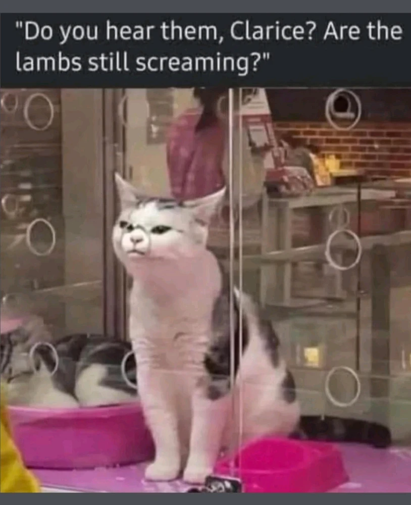 GIF otpremio/la Dusan