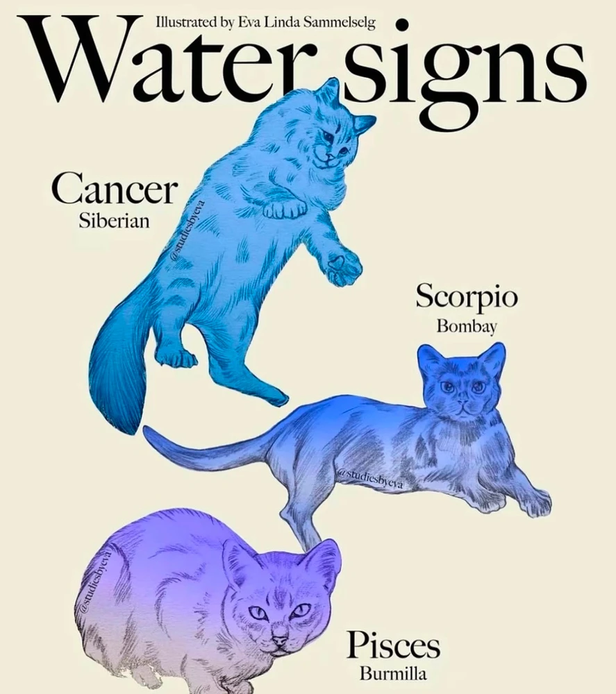 Image uploaded by Olga