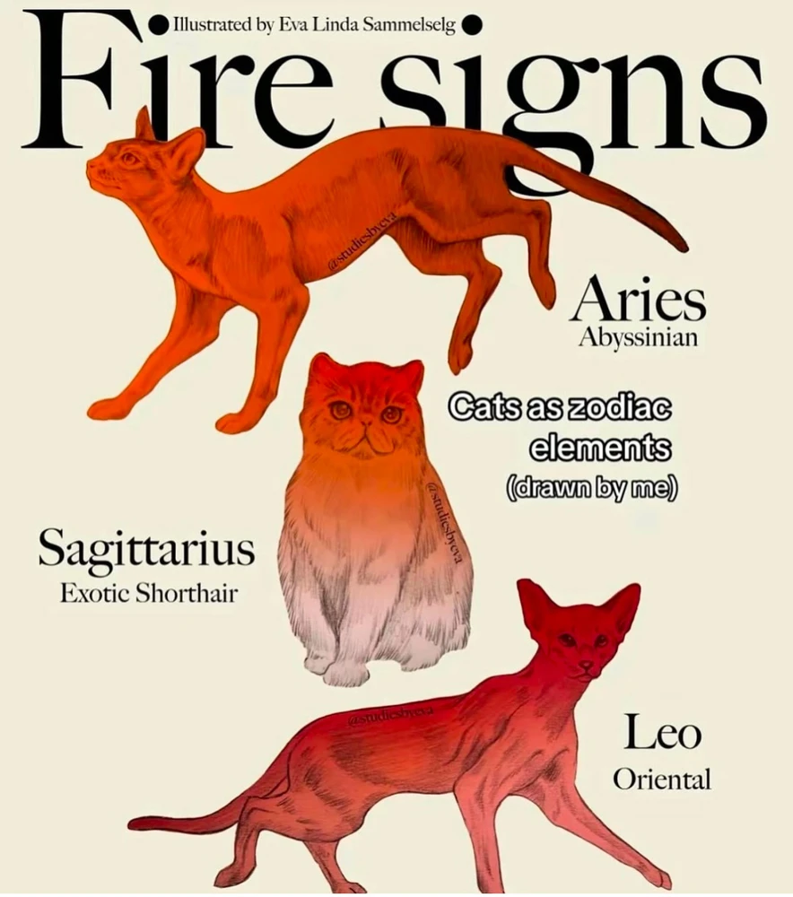 Image uploaded by Olga