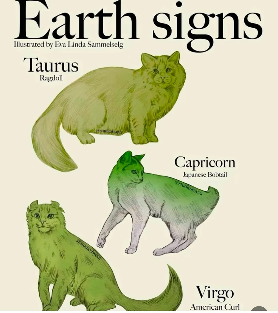 Image uploaded by Olga