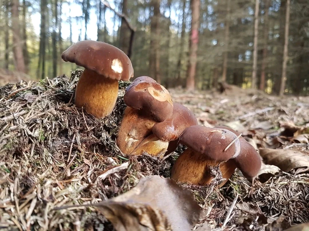 GIF uploaded by Tomas