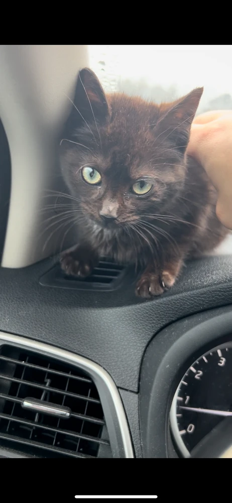 Image uploaded by JustCallMeWill