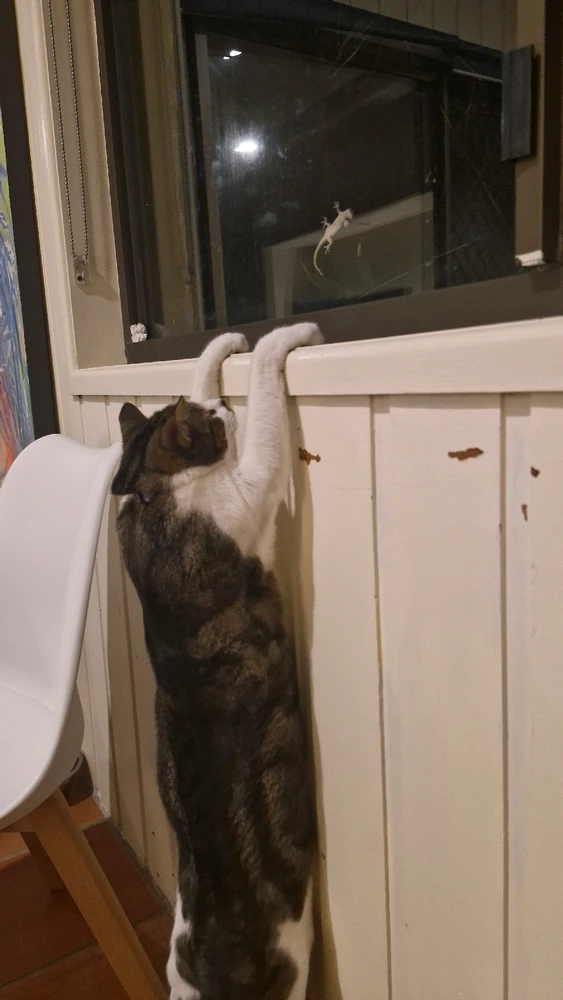 GIF uploaded by Jabyn