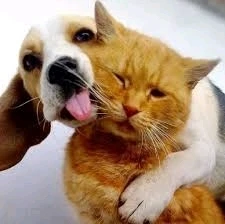 Image uploaded by Ariana