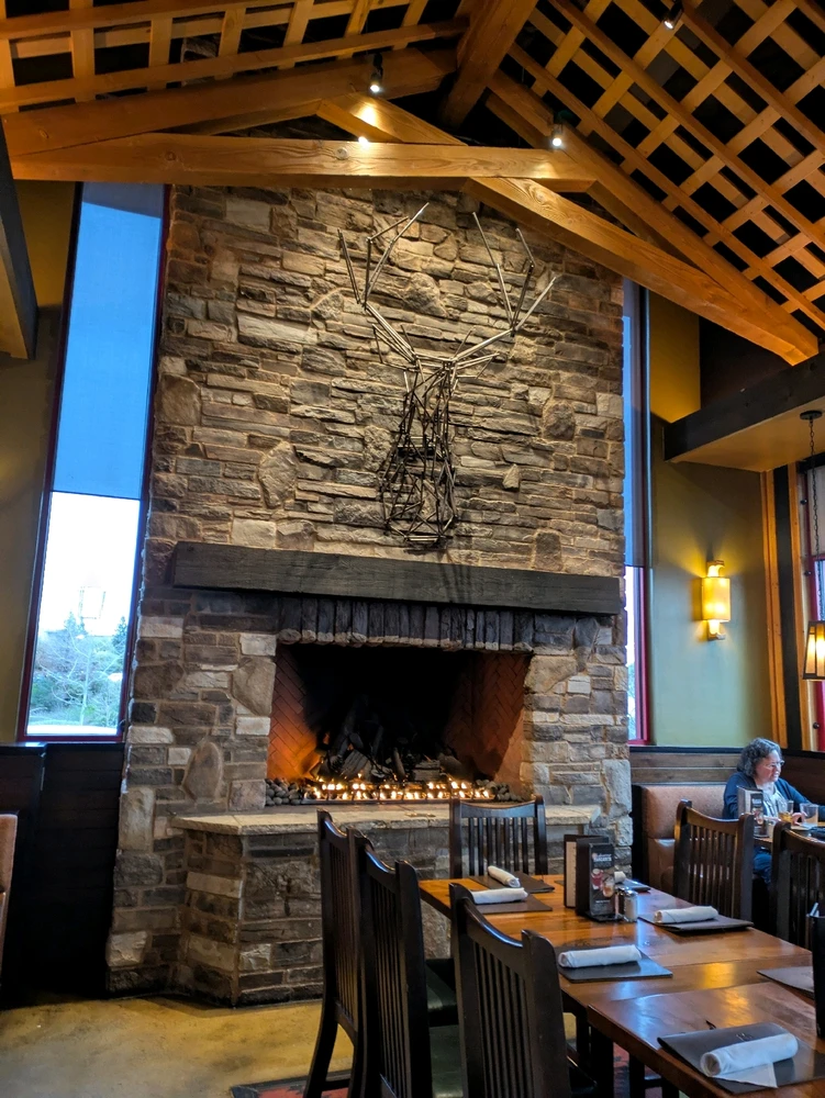 Image uploaded by Kea