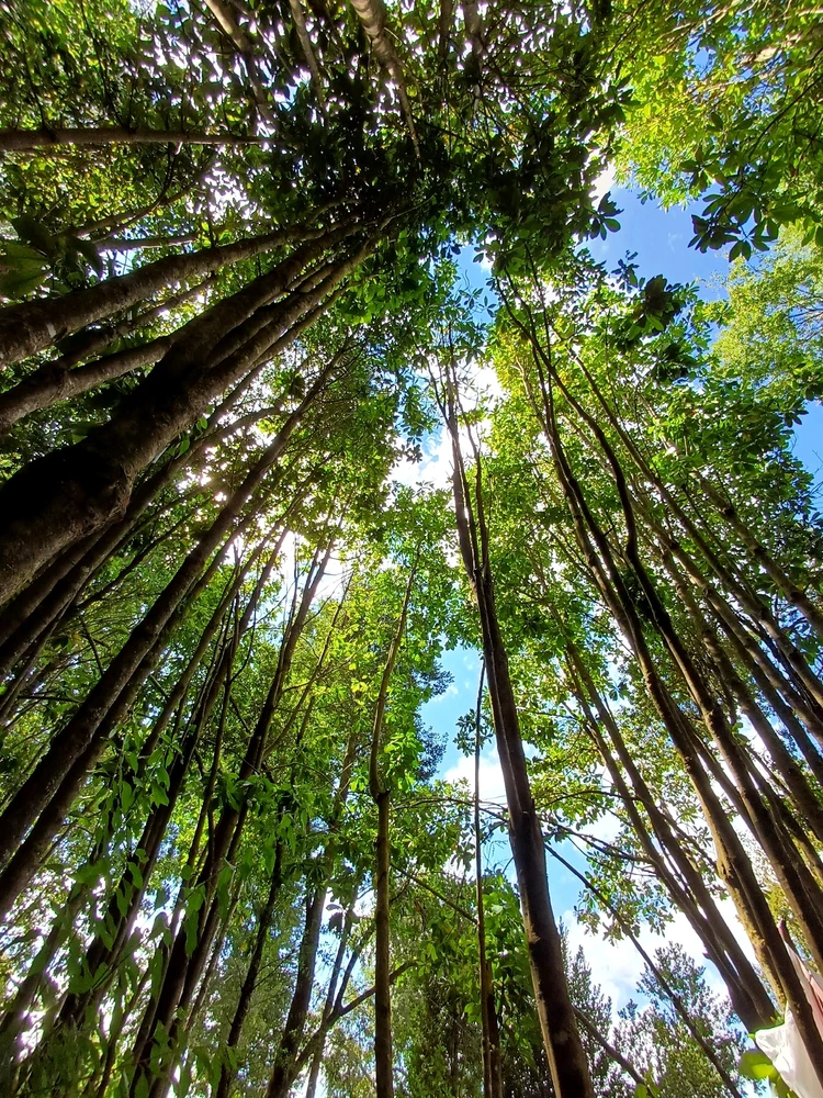 GIF subido por Gahel