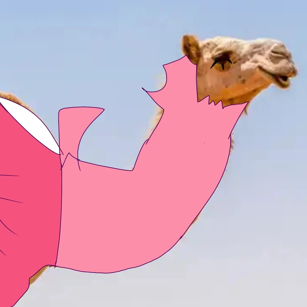 Imagen subida por Patricia