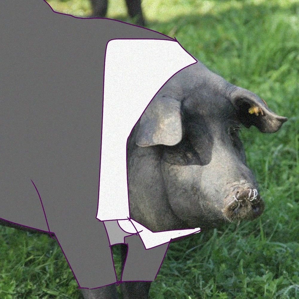 Imagen subida por Patricia