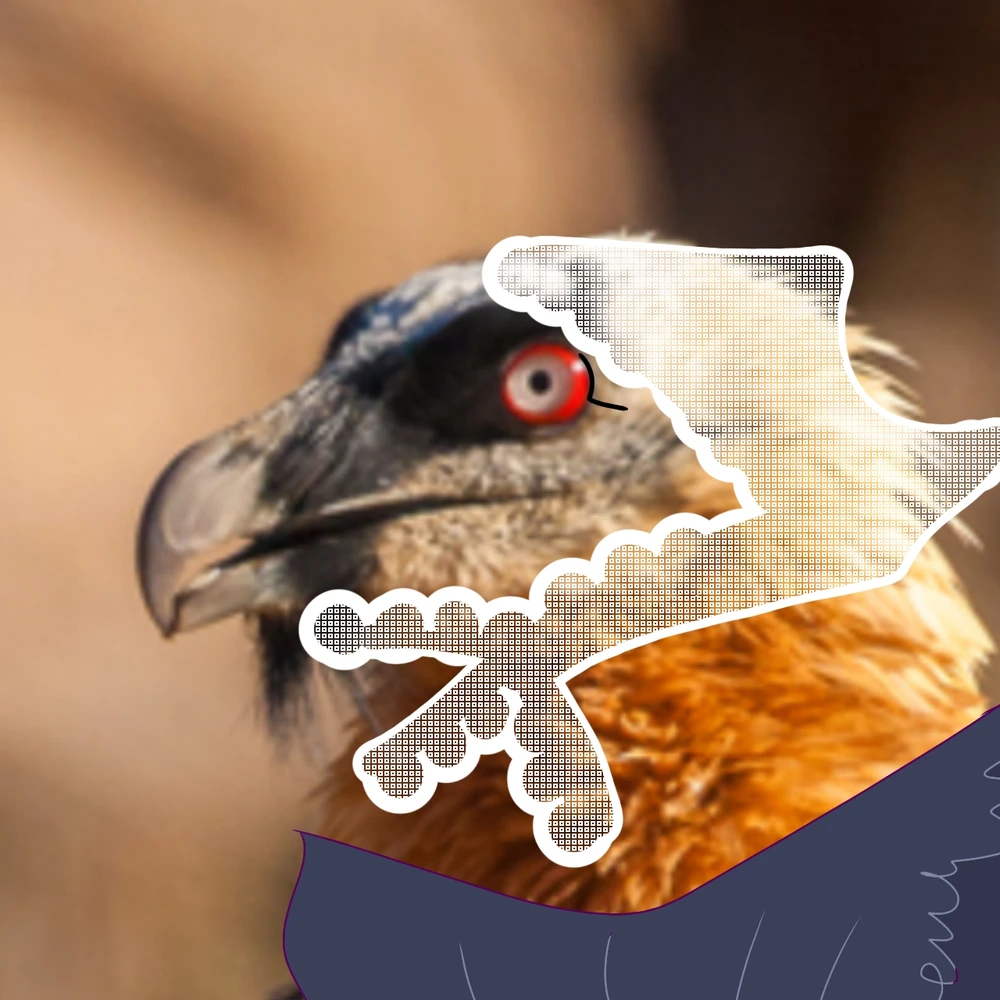 Imagen subida por Patricia