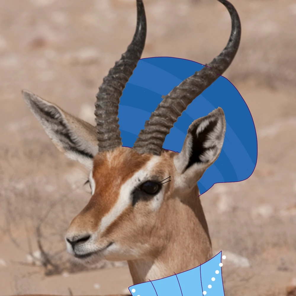 Imagen subida por Patricia