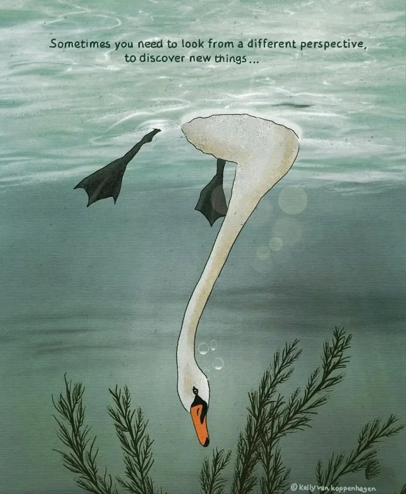 GIF uploaded by Klei🌻⚖️