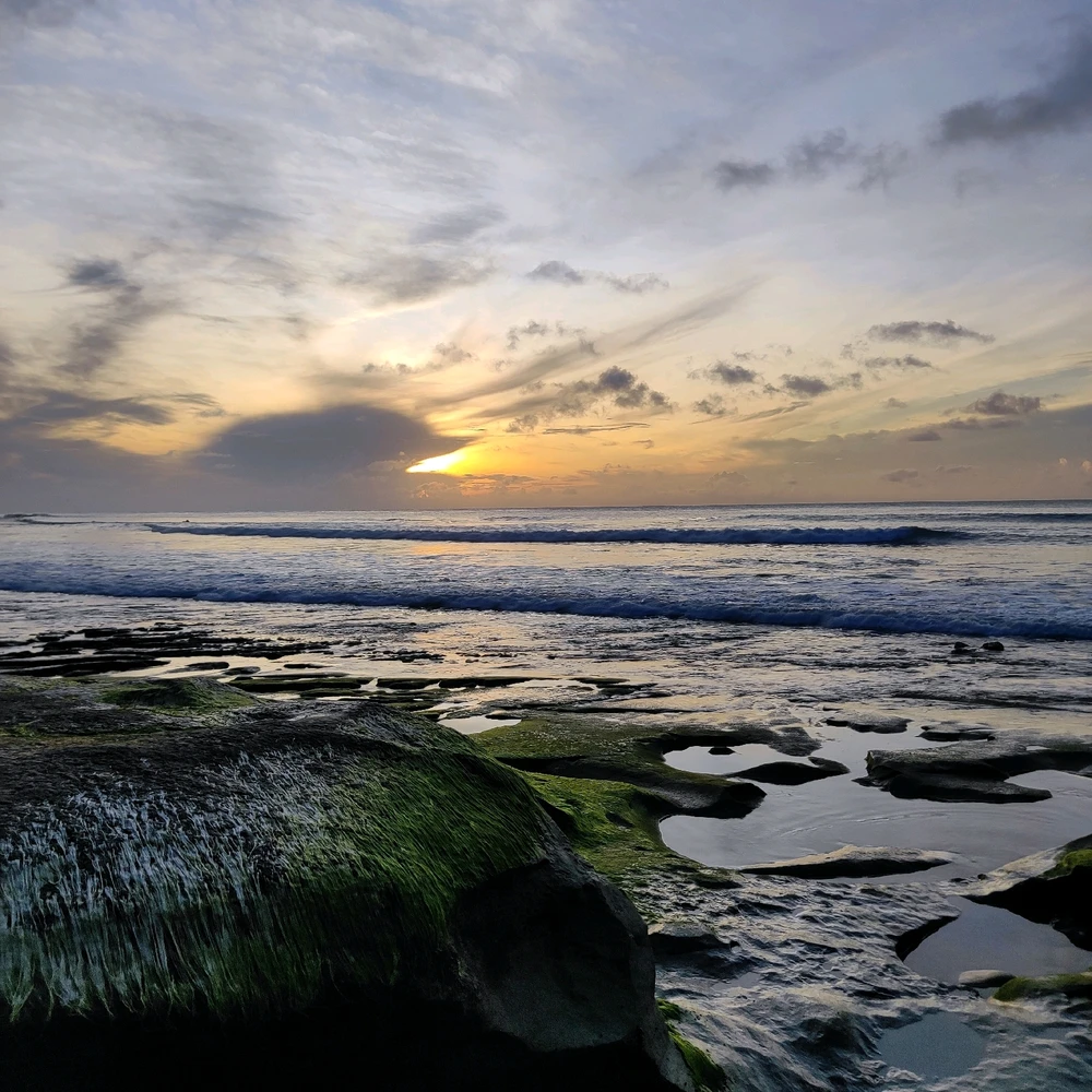 Image uploaded by Nikhil Sharma