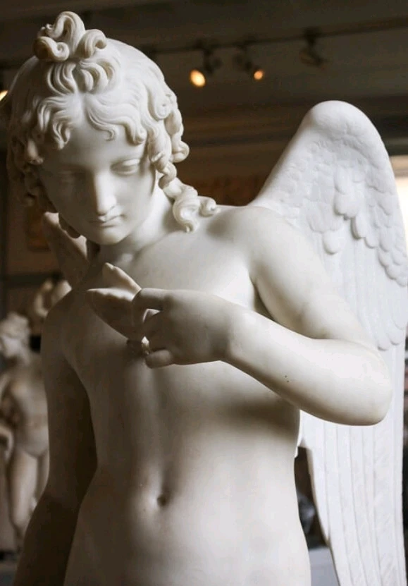 GIF caricata da Wolfen