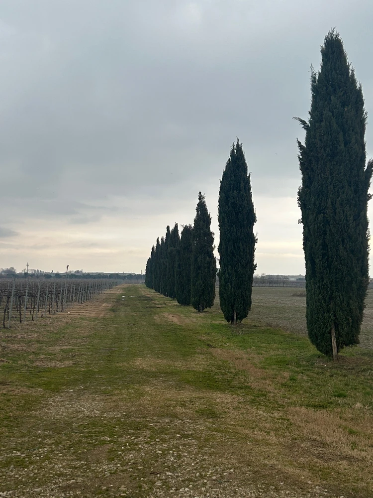 GIF enviado por Fabio