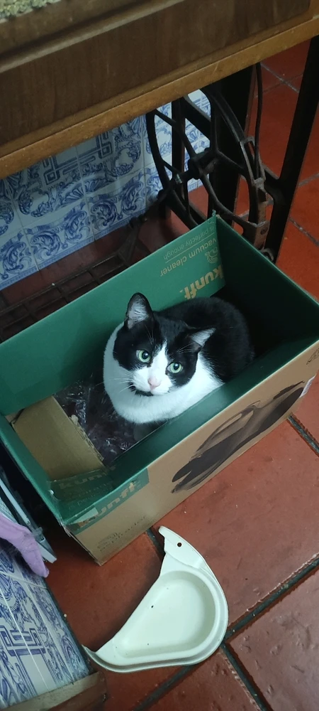 GIF enviado por Hector