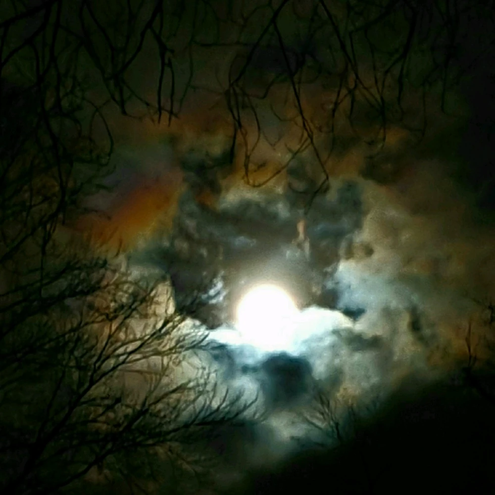 GIF hochgeladen von Matt