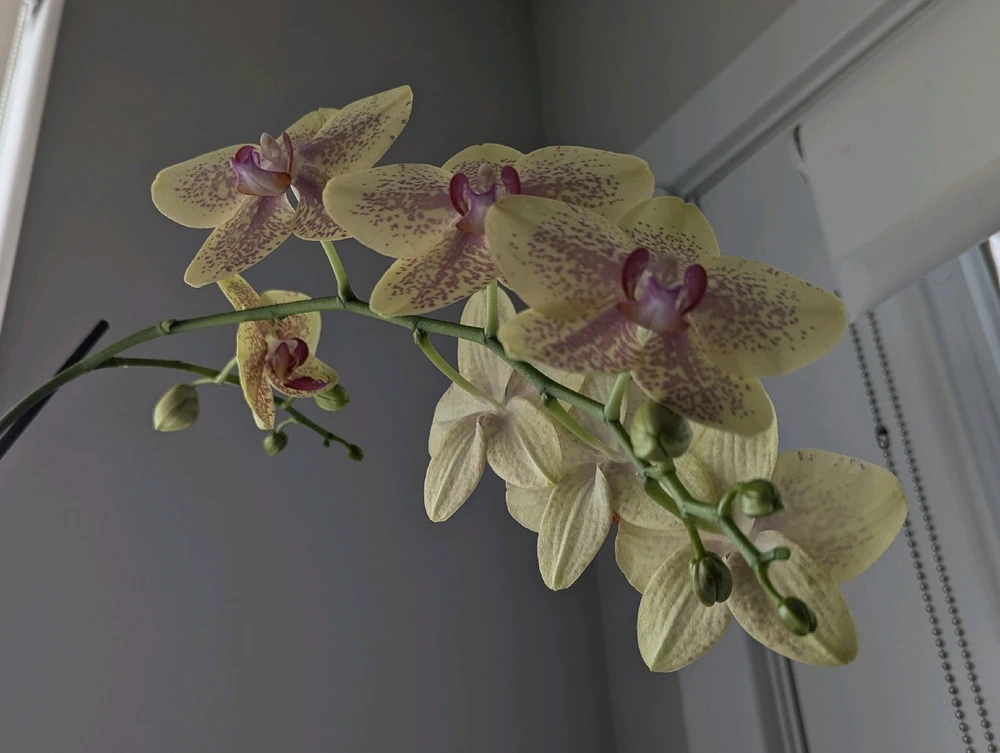 Image uploaded by Lynne